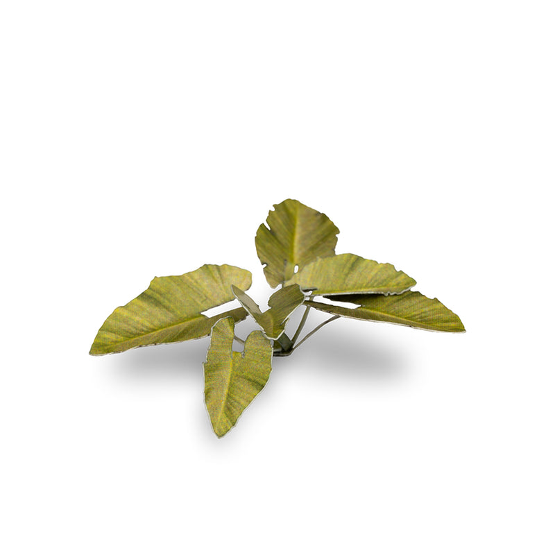 Gamers Grass - Laser Plants - Elephant Ear - Gamers Grass