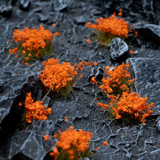 Gamers Grass - Orange Flowers Wild Tufts - Gamers Grass