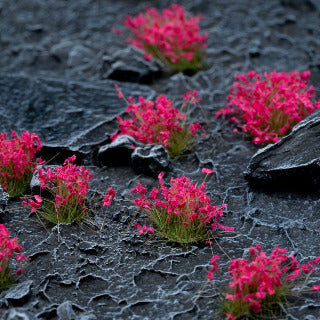 Gamers Grass - Pink Flowers Wild Tufts - Gamers Grass