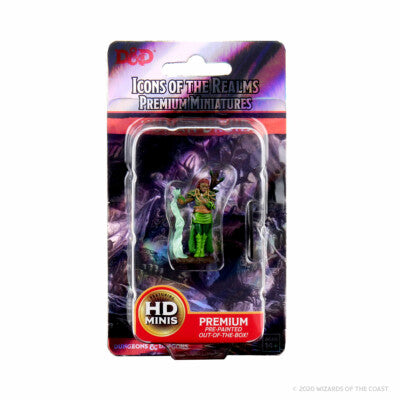 Icons of the Realm: Premium Human Druid - Wizkids