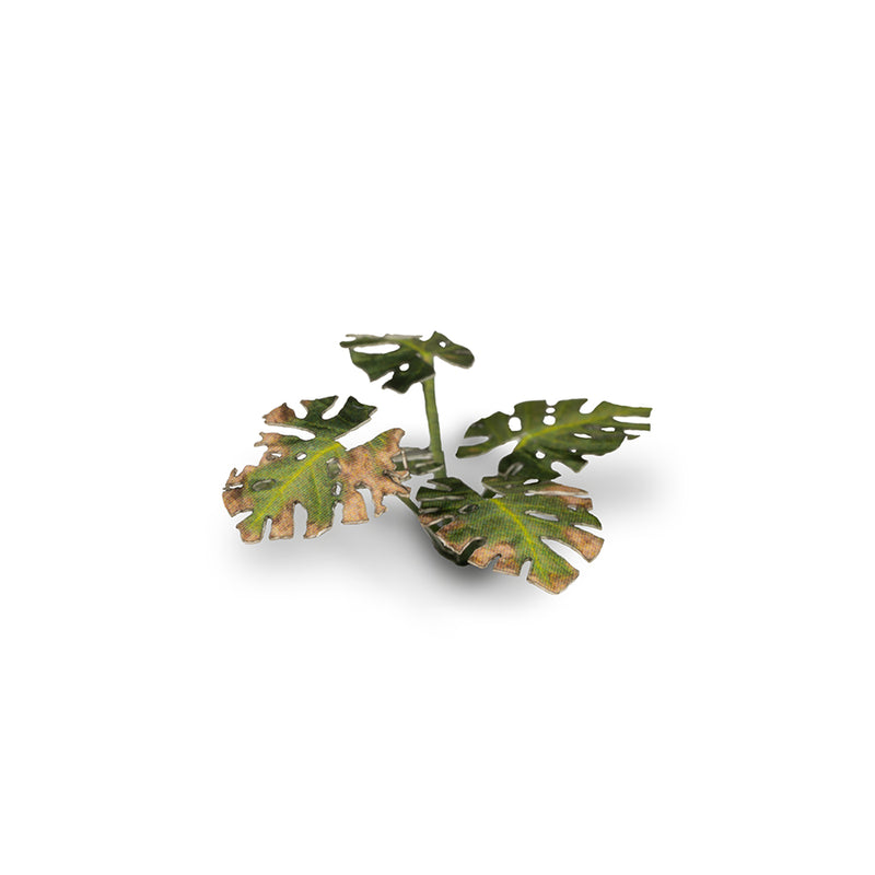 Gamers Grass - Laser Plants - Monstera - Gamers Grass