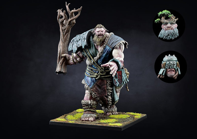 Nords Mountain Jotnar - Conquest: The Last Argument of Kings - Para Bellum Wargames