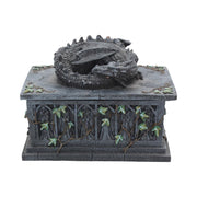 Dragon Tarot Card Box - Nemesis Now