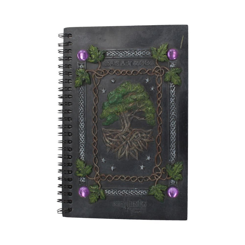 Dream Book (21cm) - Nemesis Now