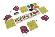 Tiny Towns - Alderac Entertainment Group