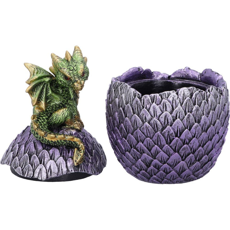 Dragonling Perch Box (Green) - Nemesis Now