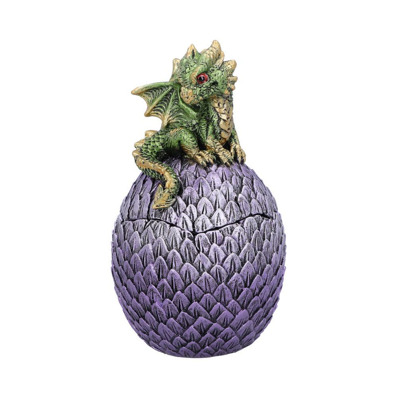 Dragonling Perch Box (Green) - Nemesis Now