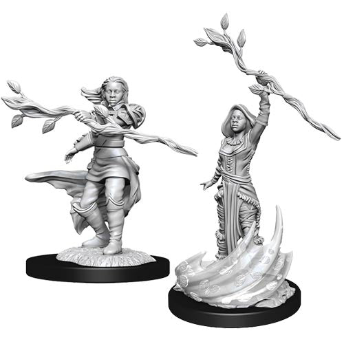 Nolzurs Marvellous Miniatures: Human Druid Female - Wizkids