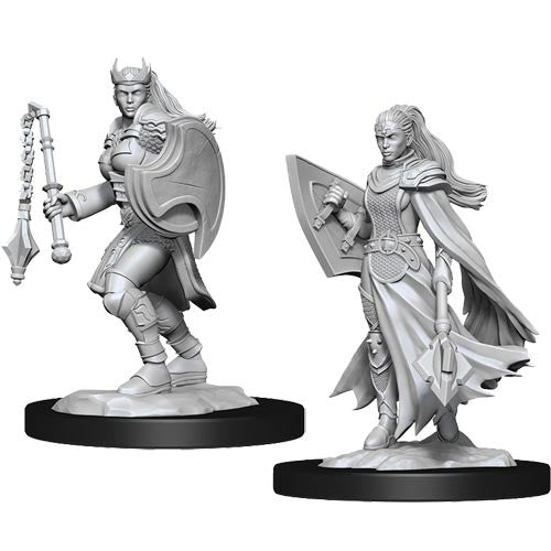 Nolzurs Marvellous Miniatures: Kalashta Cleric Female - Wizkids