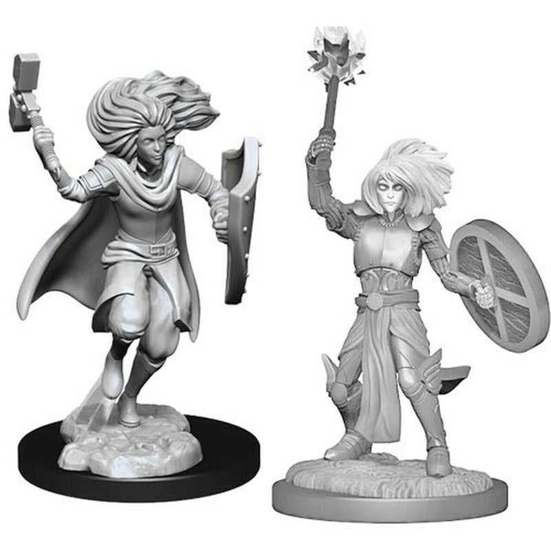 Nolzurs Marvelous Miniatures: Changeling Cleric - Wizkids